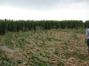 Success we found it!